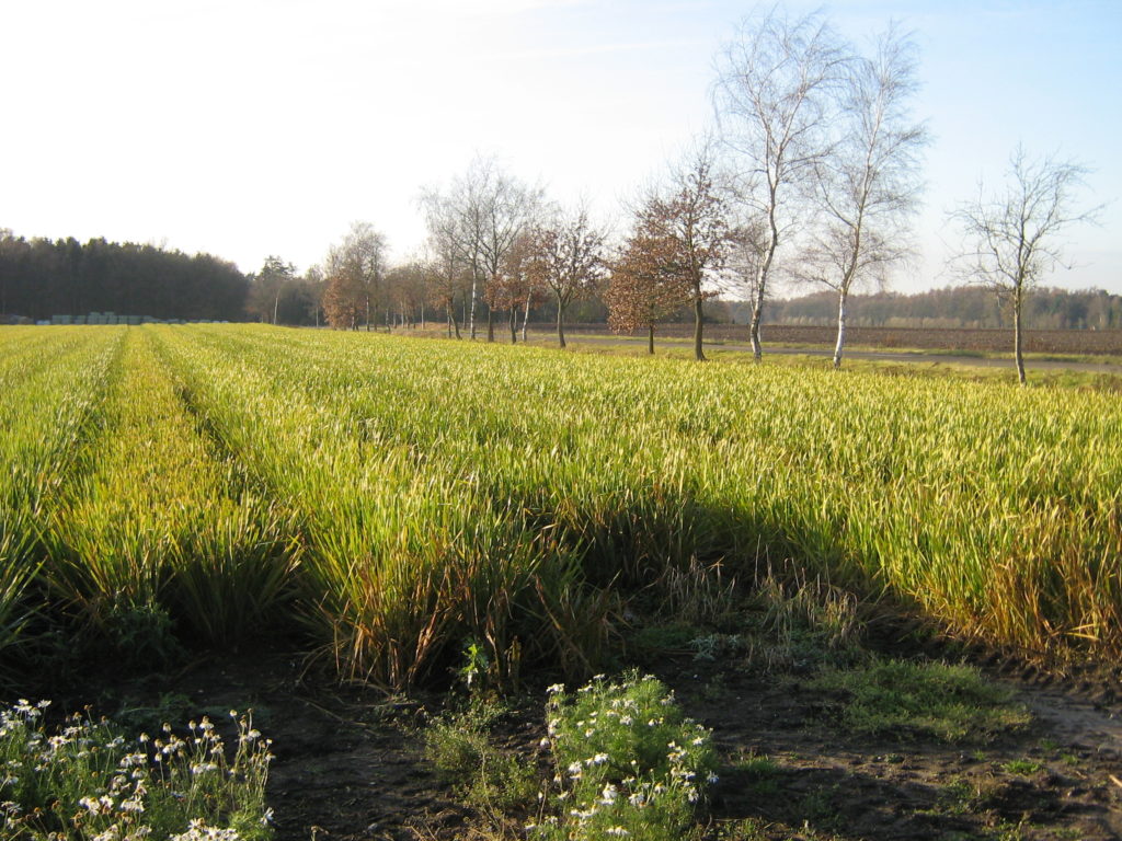 Twee nieuwe duurzaamheidsprojecten om aarde te behouden