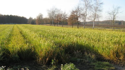 Twee nieuwe duurzaamheidsprojecten om aarde te behouden